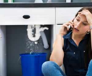 About Emergency plumbing pros Lake Placid, FL